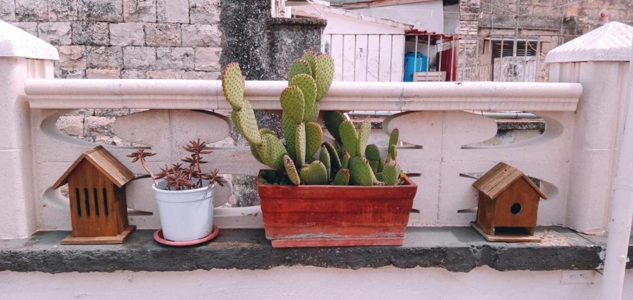 Apartmán Tappa A Bitonto Exteriér fotografie